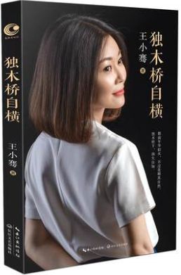 独木桥自横