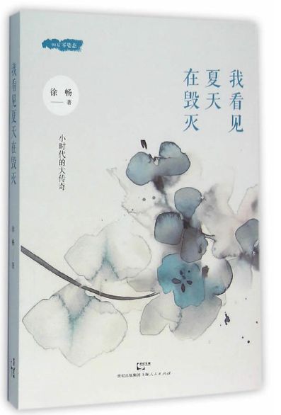 我看见夏天在毁灭