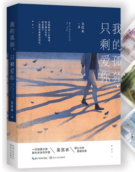 我的孤独，只剩爱你