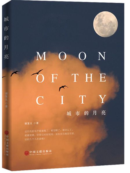 城市的月亮