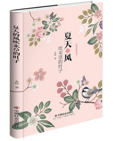夏天的风吹来草的叶子