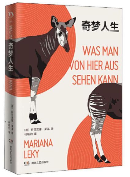 奇梦人生