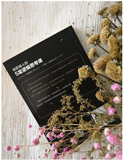 给职场人的5堂逻辑